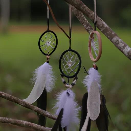 Dream Catcher Fortune | Fortune