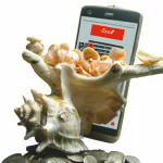 Coral Phone Billing Payments