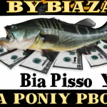 Big Bass Bonanza Paypal