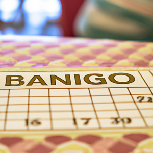 Play Bingo Halls for Fun