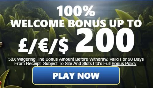 casino no deposit bonus codes 2020 Online