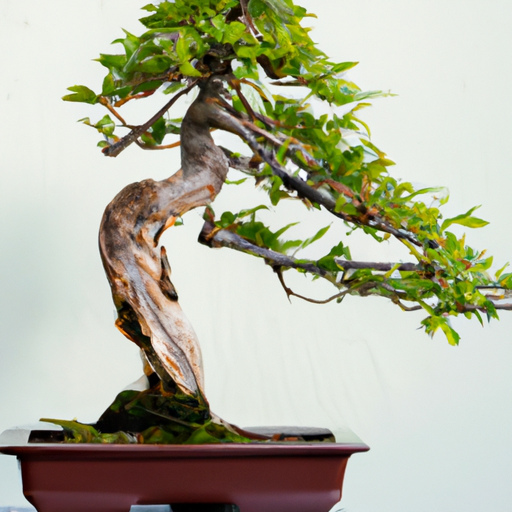 Bonsai Spins: Spin for Bonsai Wins