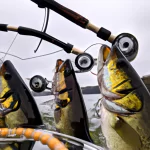 Bigger Bass Bonanza: Reel Fun!