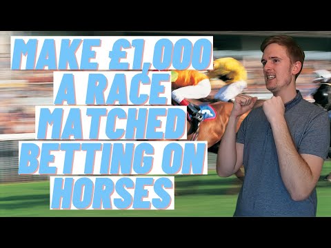 Best Online Betting Apps