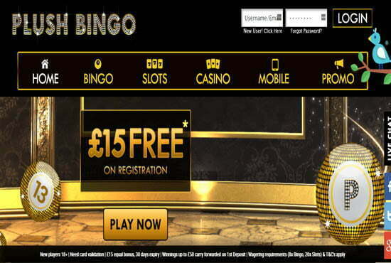 Bingo Deposit Bonuses