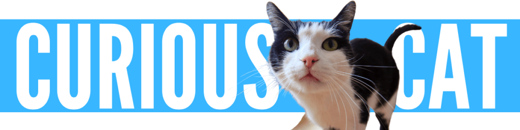 Cash Kitty Reviews