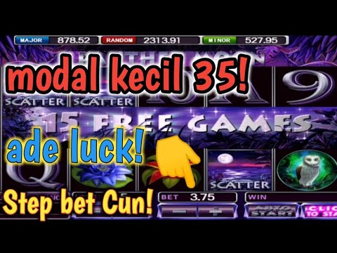 Dolphin Reef Slot Free