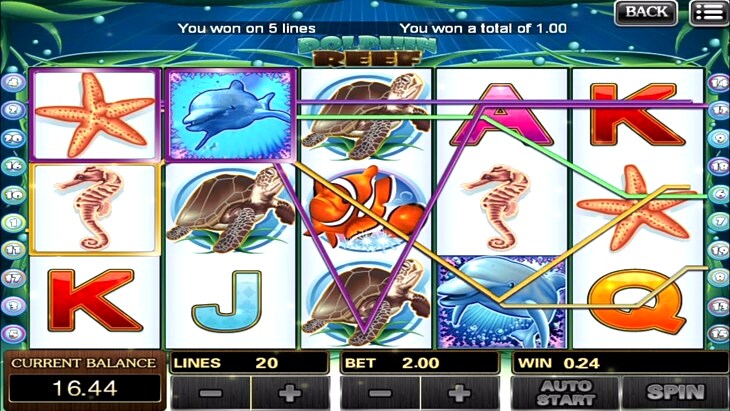 Dolphin Reef Slot Free