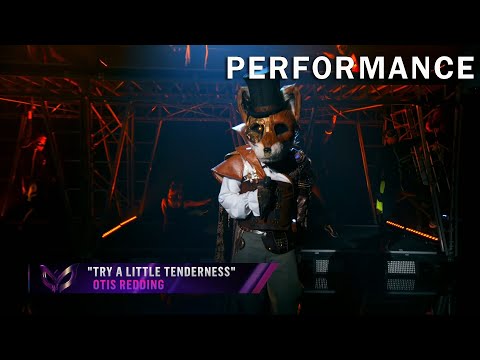Foxin Wins A Very Foxin Christmas
